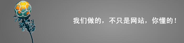 我們做的不只是網(wǎng)站，你懂得